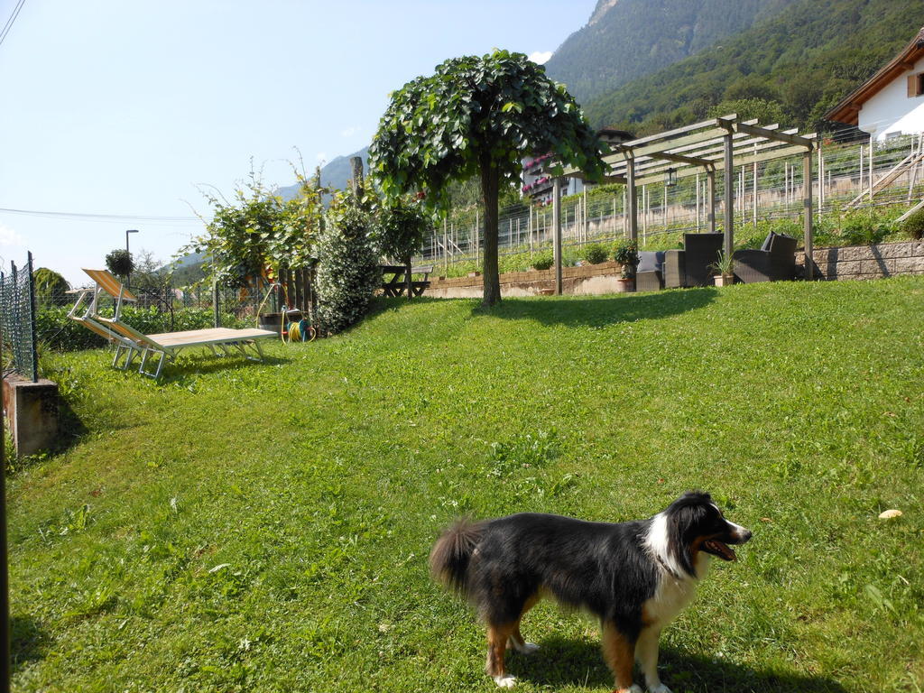 Apartament Haus Tirol Caldaro Zewnętrze zdjęcie